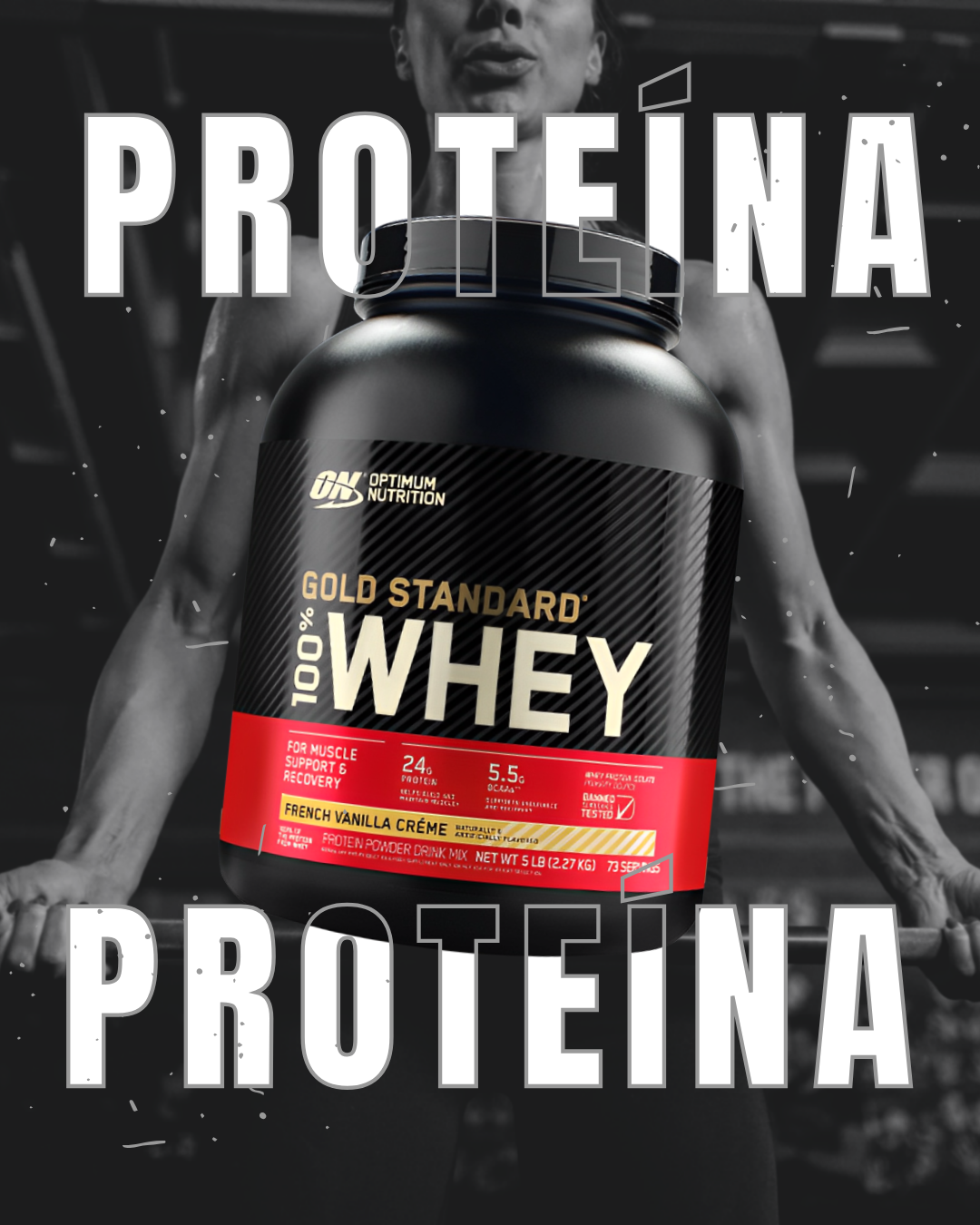 Whey - Isolate - Mass Gainer